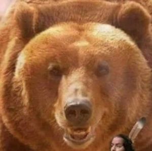 Meet your Posher, Stephen